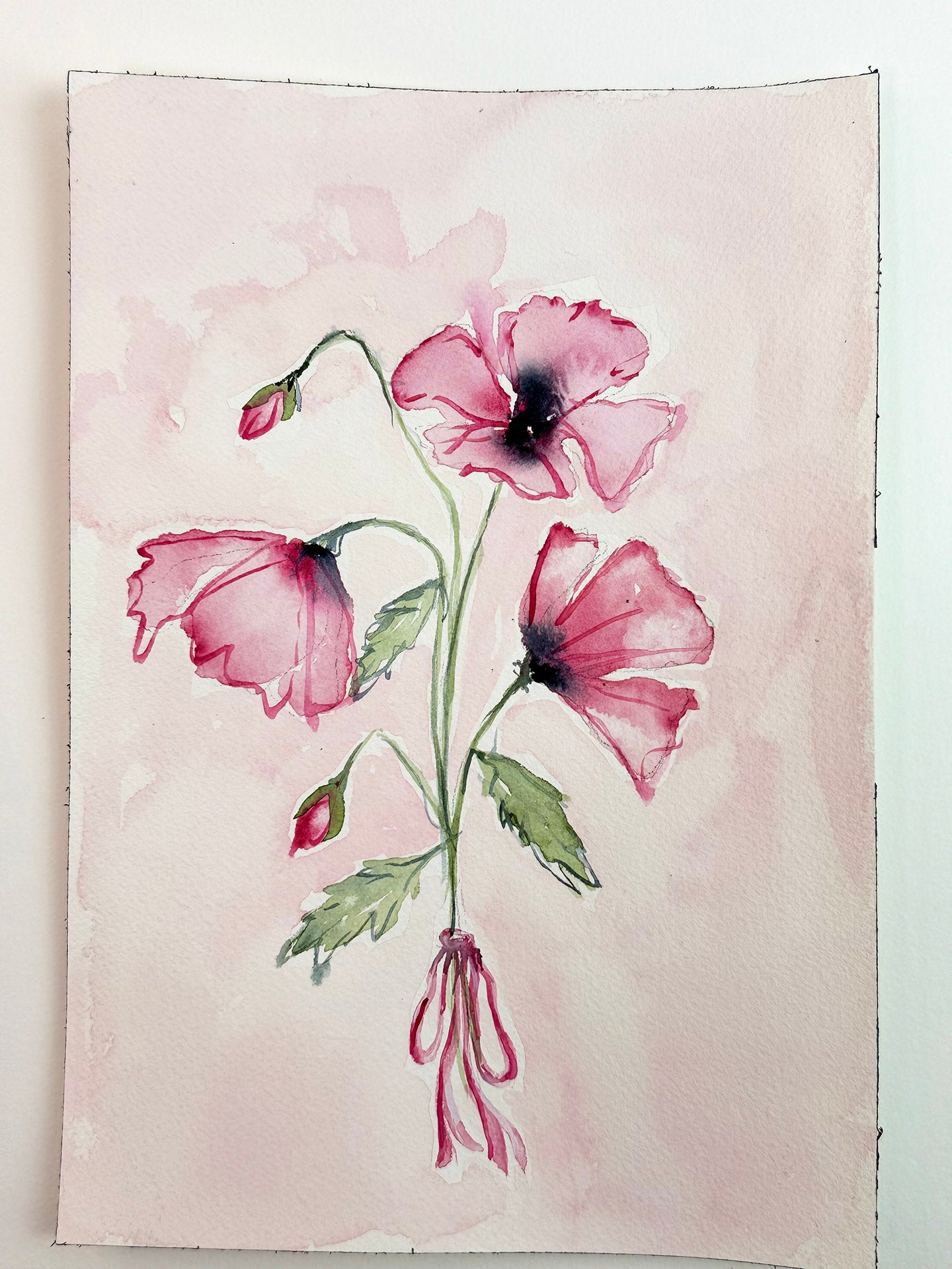 Pink Poppies