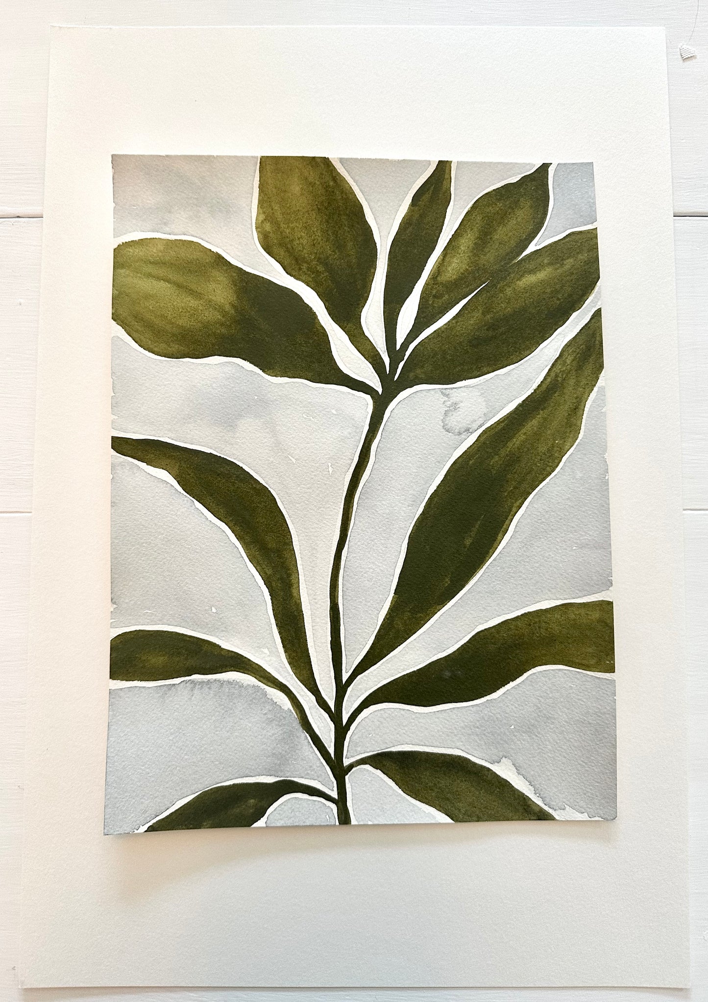 Magnolia Dream