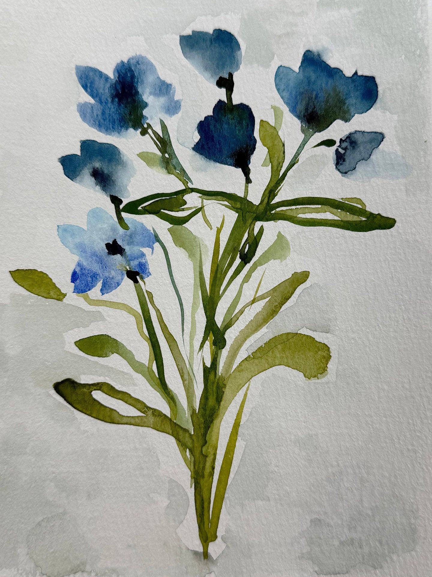 Wild Blue Mountain Flowers