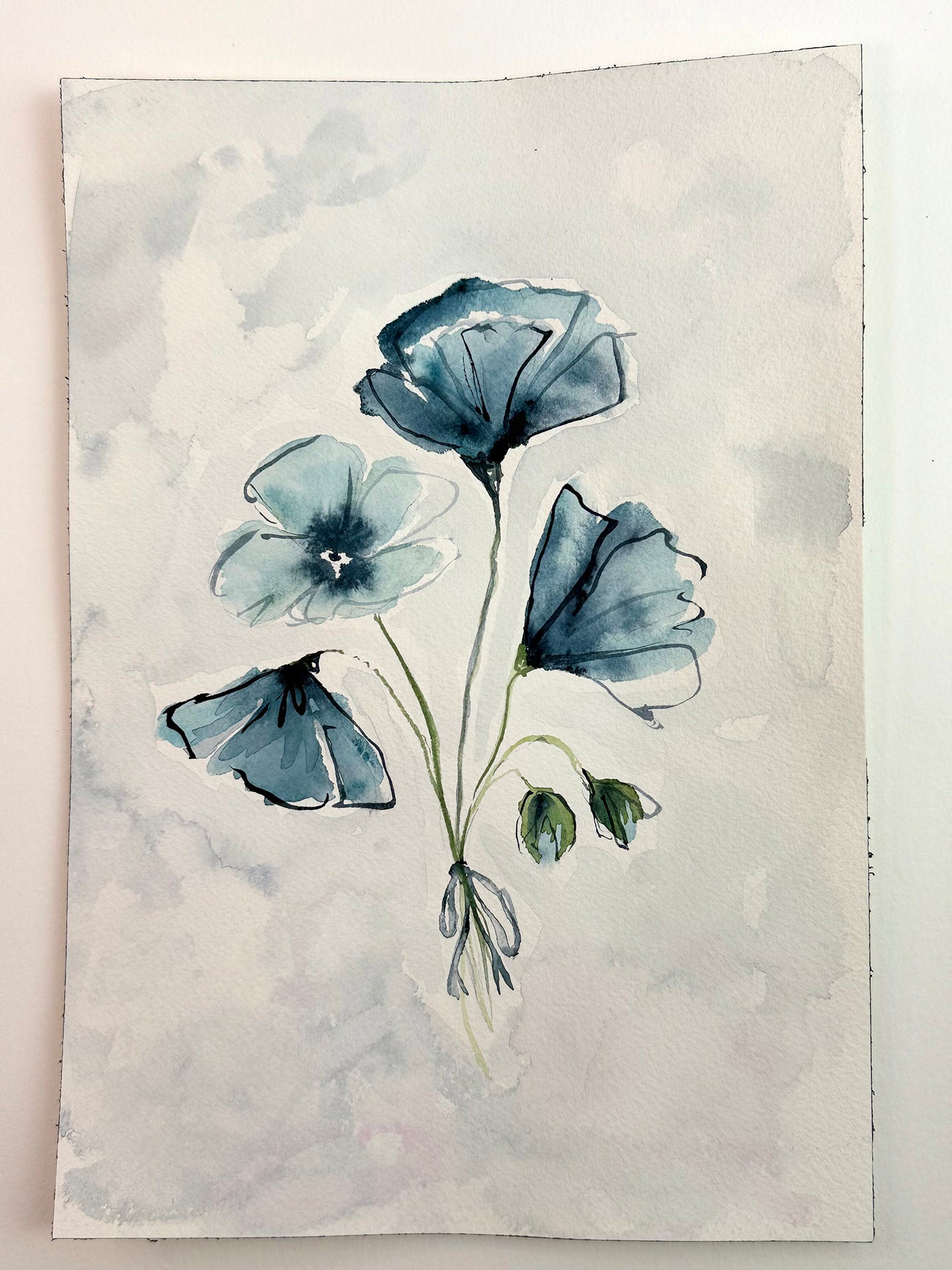 Blue Poppies