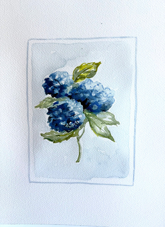 Blue Southern Hydrangea